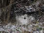 Wasser, Seen & Flüsse