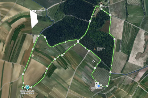 Barfussweg - Schrattenberg/Valtice (12.10.2026)