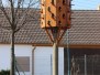 Herrenbaumgarten - Das verruckte Dorf