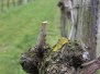 Natur & Landschaften