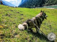 18IMG_20220725_122017-Kopie