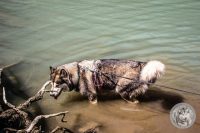 26IMG_7352-Kopie