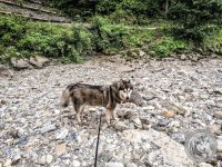 31IMG_20220725_155845-Kopie