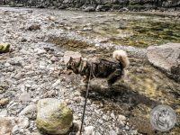 34IMG_20220725_160013-Kopie