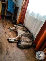 35IMG_20220725_173413-Kopie