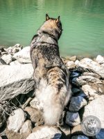 3IMG_20220725_113618-Kopie