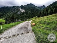 21IMG_20220726_155351-Kopie