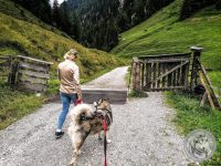 22IMG_20220726_155427-Kopie