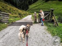 23IMG_20220726_155431-Kopie