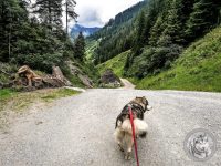 26IMG_20220726_155652-Kopie