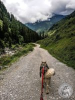 27IMG_20220726_155828-Kopie