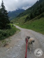 28IMG_20220726_160113-Kopie