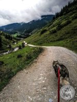 30IMG_20220726_160619-Kopie