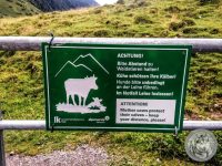 32IMG_20220726_162145-Kopie