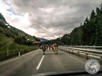 33IMG_20220726_163441-Kopie