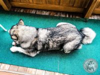 34IMG_20220726_164331-Kopie