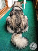 35IMG_20220726_164542-Kopie