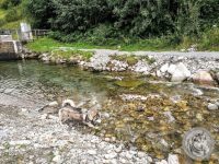 6IMG_20220726_143441-Kopie