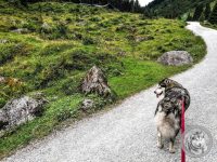24IMG_20220727_120457-Kopie