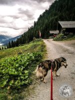 27IMG_20220727_120747-Kopie