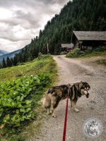 28IMG_20220727_120748-Kopie