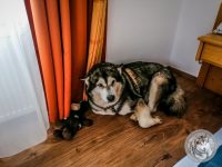 2IMG_20220727_104329-Kopie