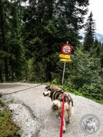 33IMG_20220727_124524-Kopie