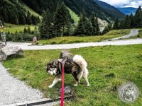34IMG_20220727_130357-Kopie
