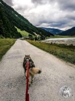 38IMG_20220727_130644-Kopie