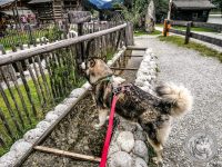 40IMG_20220727_130944-Kopie