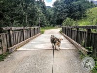 24IMG_20220728_112952-Kopie