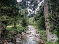 25IMG_20220728_113018_1-Kopie