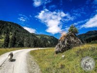 28IMG_20220728_114745-Kopie