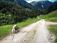 29IMG_20220728_115445-Kopie
