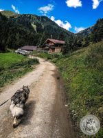 31IMG_20220728_115749-Kopie