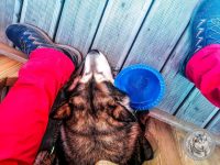 32IMG_20220728_120836-Kopie