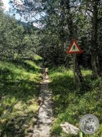 35IMG_20220728_133627-Kopie