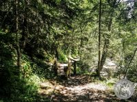 37IMG_20220728_133828-Kopie