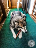 48IMG_20220728_150855-Kopie