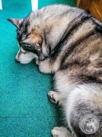 21IMG_20220729_162602-Kopie