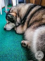 22IMG_20220729_162614-Kopie