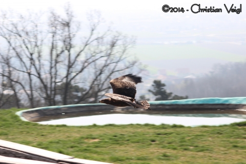 Unterwegs mit der DSLR - 2014