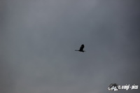 img_3988