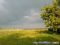 dsc00620