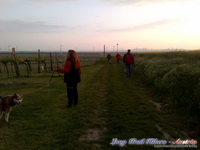 dsc00624