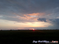 dsc00631