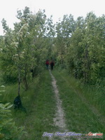 dsc00640