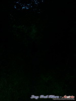 dsc00642