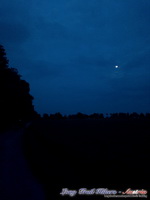 dsc00646
