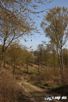 img_0907